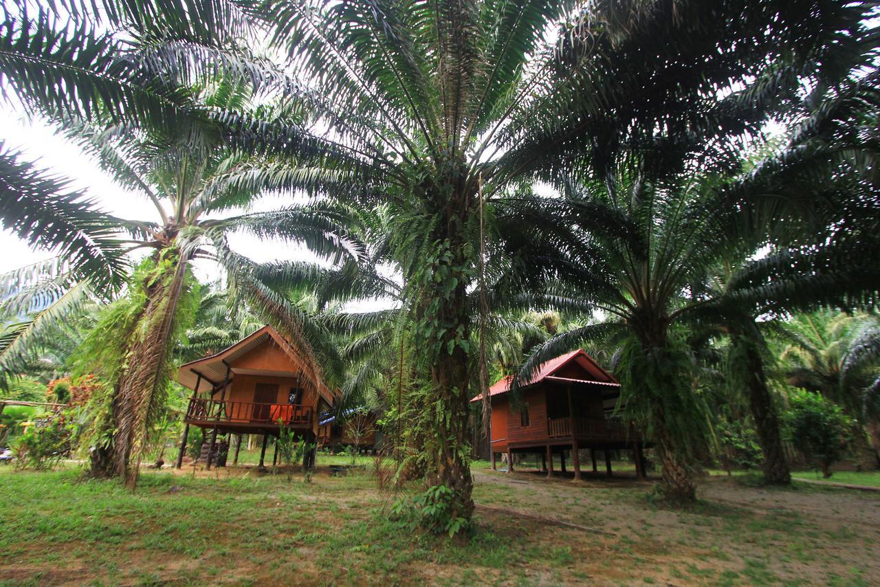 Khao Sok Palmview Resort Khao Sok National Park Eksteriør billede